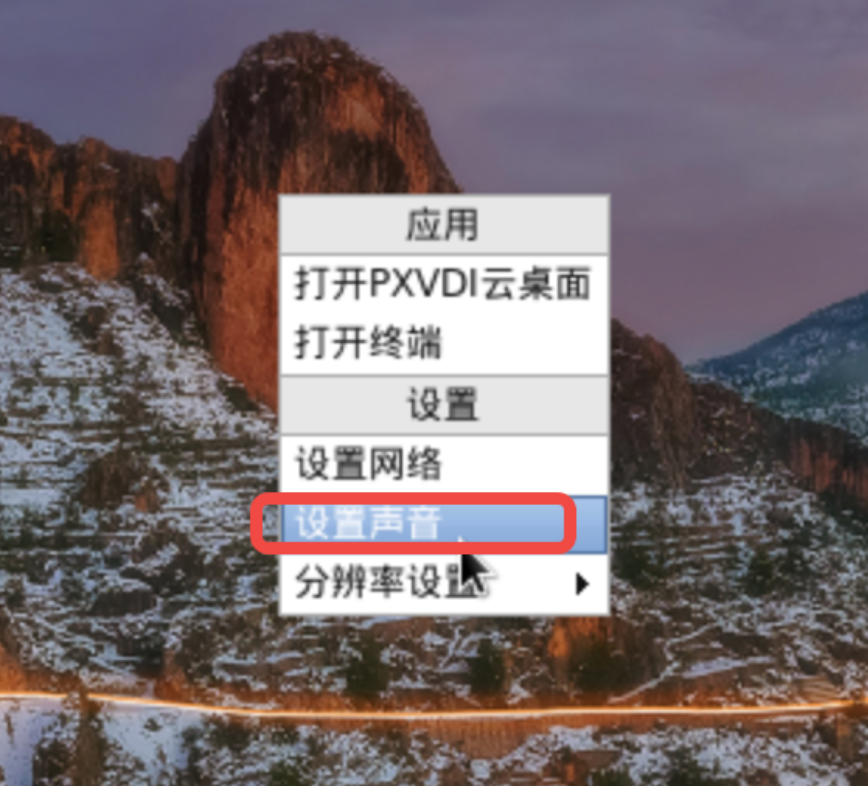 PXVDI client